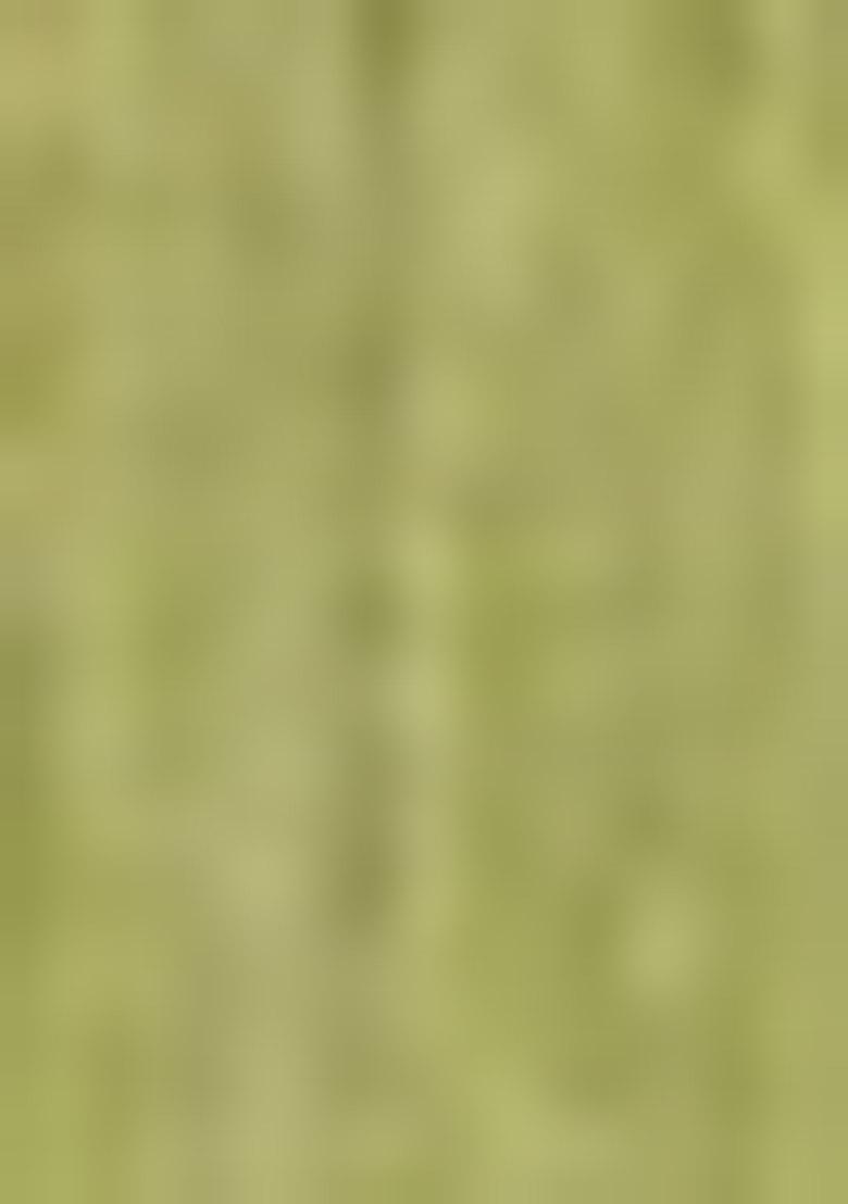 Olive Green Woven Zari Work Linen Cotton Saree Set