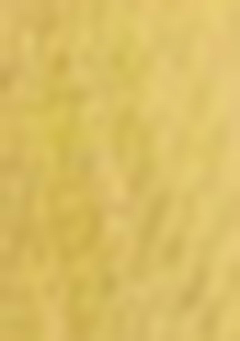 Yellow Woven Zari Work Linen Cotton Saree Set