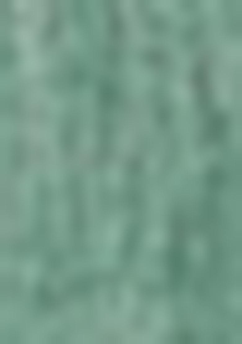 Sea Green Woven Zari Work Linen Cotton Saree Set