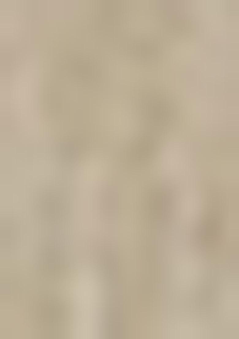 Cream Woven Zari Work Linen Cotton Saree Set