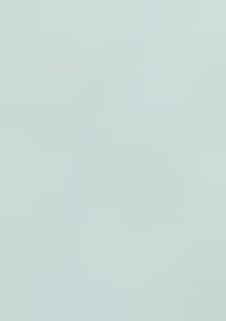 Sea Green Mirror Work Chiffon Saree Set With Blouse