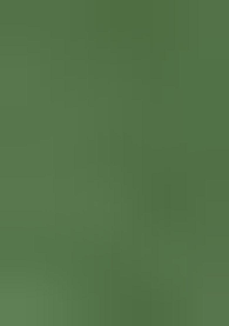 Green Mirror Work Chiffon Saree Set With Blouse