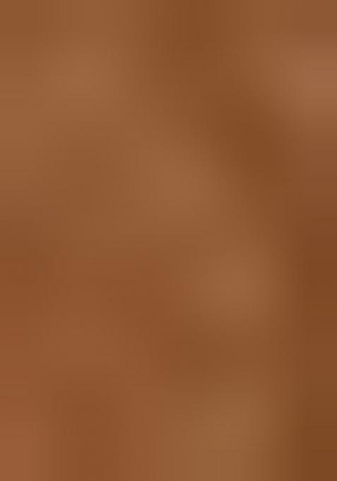 Rust Brown Embroidererd Crepe Shimmer Silk Saree Set