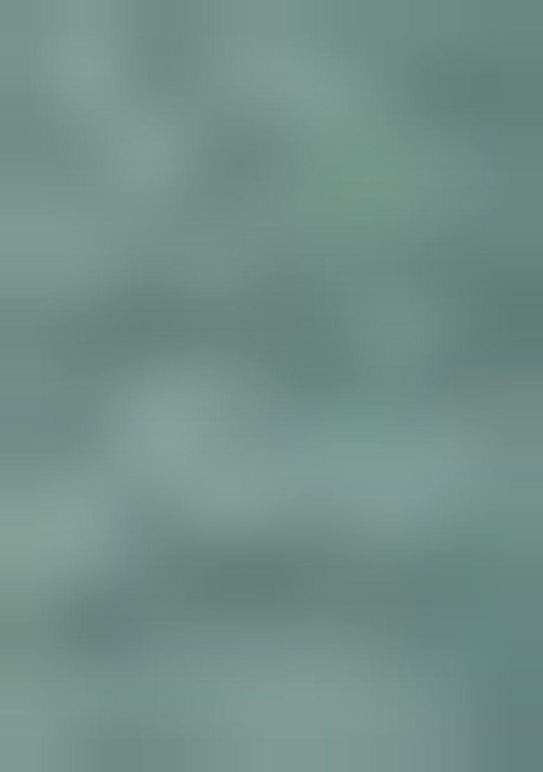 Sea Green Embroidererd Satin Silk Saree Set