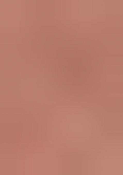 Peach Embroidererd Georgette Saree Set