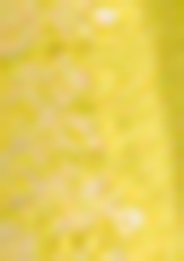 Peach Woven Design Mysore Borcade Silk Saree Set With Blouse