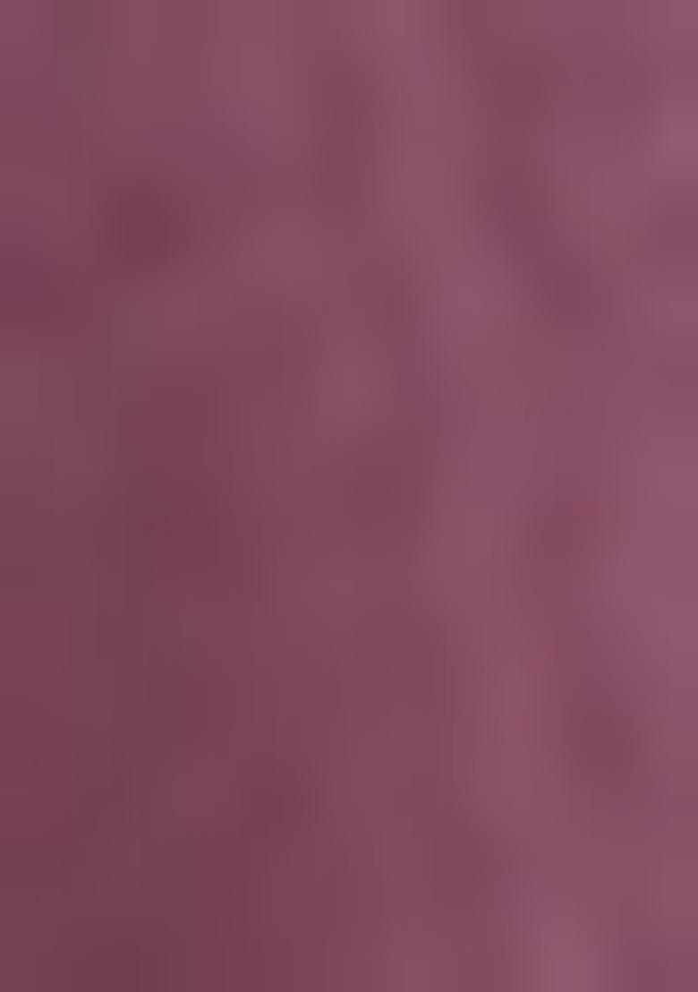 Green Embroidered Chinnon Saree Set With Blouse