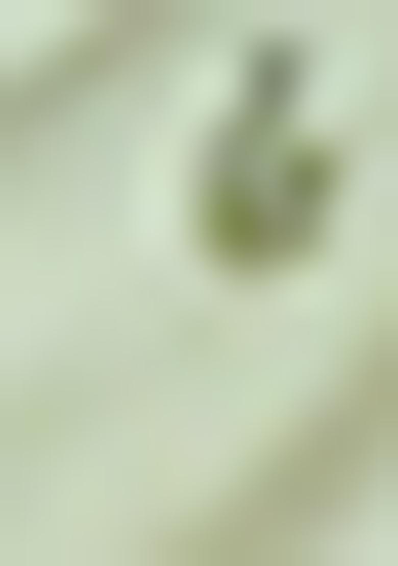 Blue Embroidered Twill Net Saree Set With Blouse