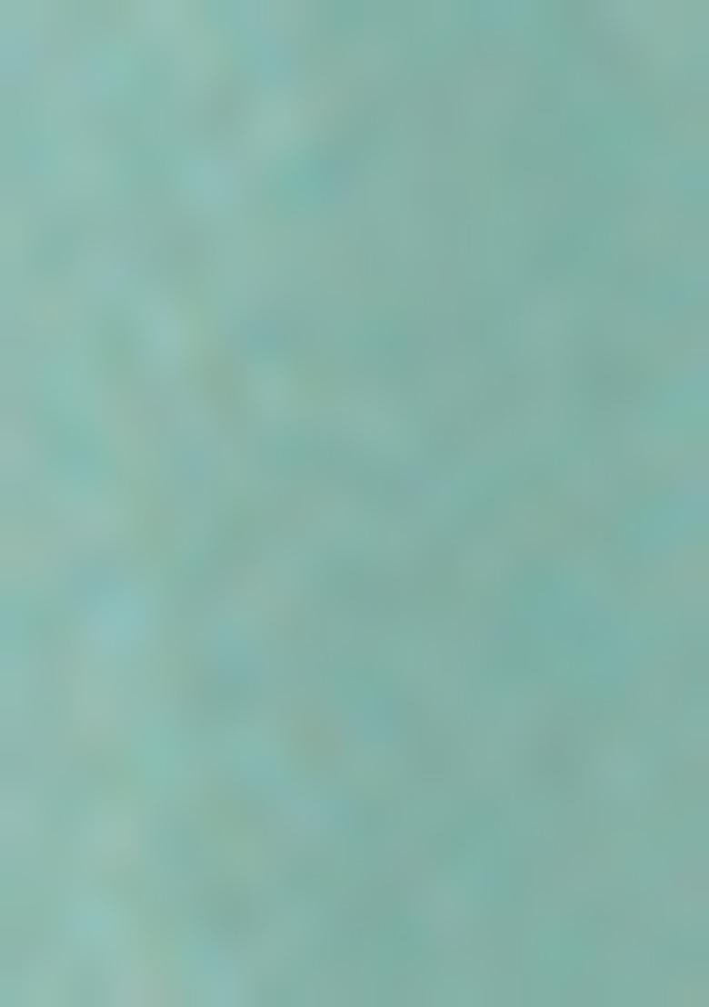 Green Cutdana Work Georgette Saree Set With Blouse