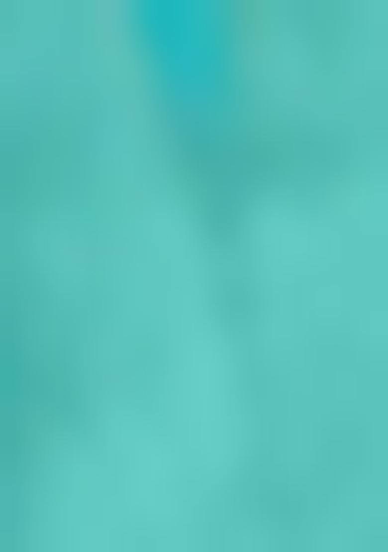 Green Diamond Zarkan Tissue Burberry Saree Set With Blouse