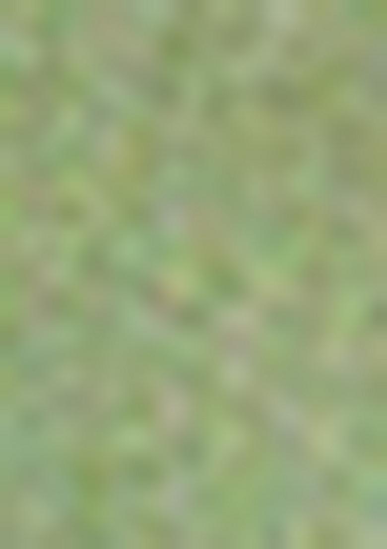 Mehendi Green Sequin Work Silk Saree Set