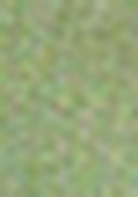 Mehendi Green Sequin Work Silk Saree Set