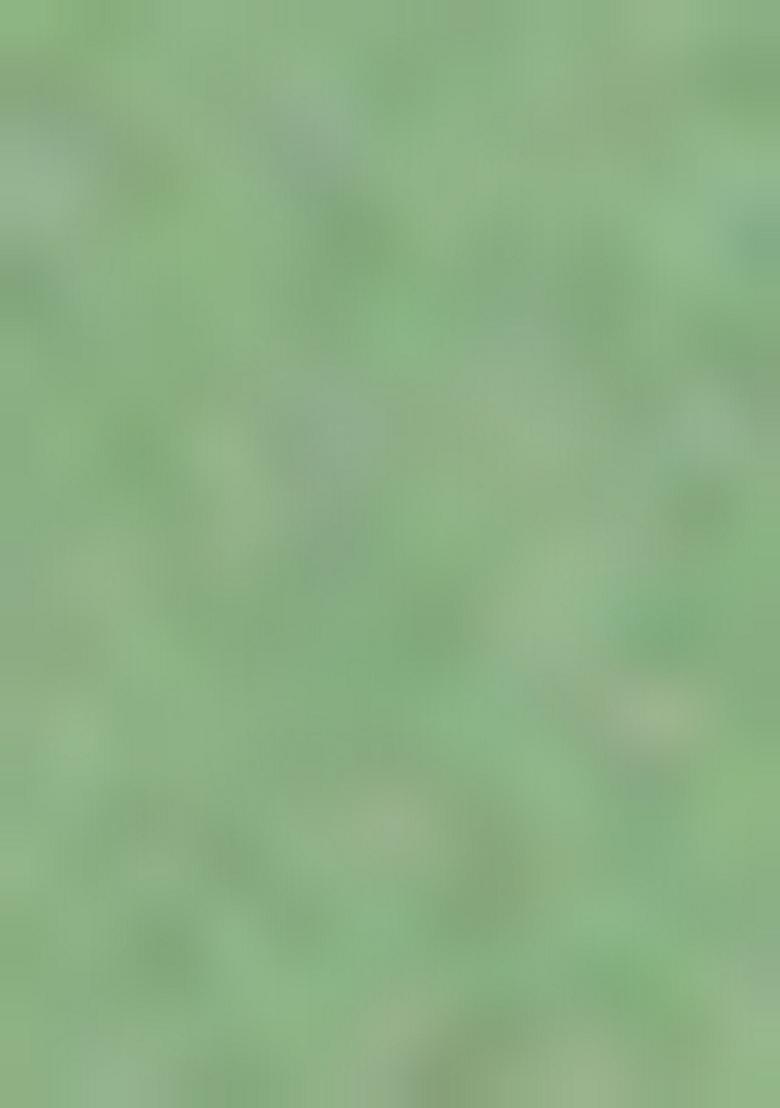 Green Sequin Work Silk Saree Set