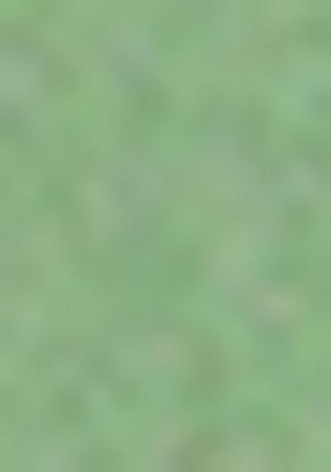 Green Sequin Work Silk Saree Set