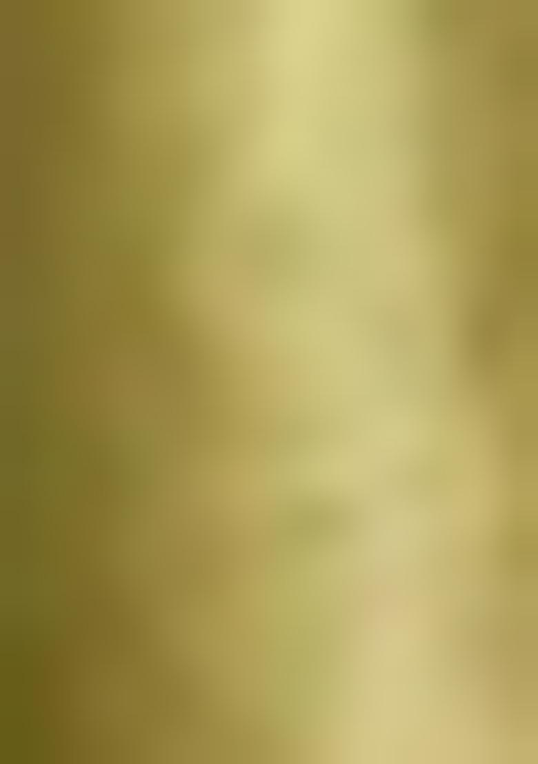 Green Sequin Work Dola Silk Saree Set