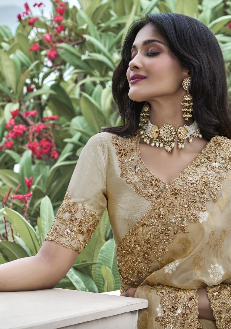 Gold Embroidered Pure Tissue Silk Saree Set