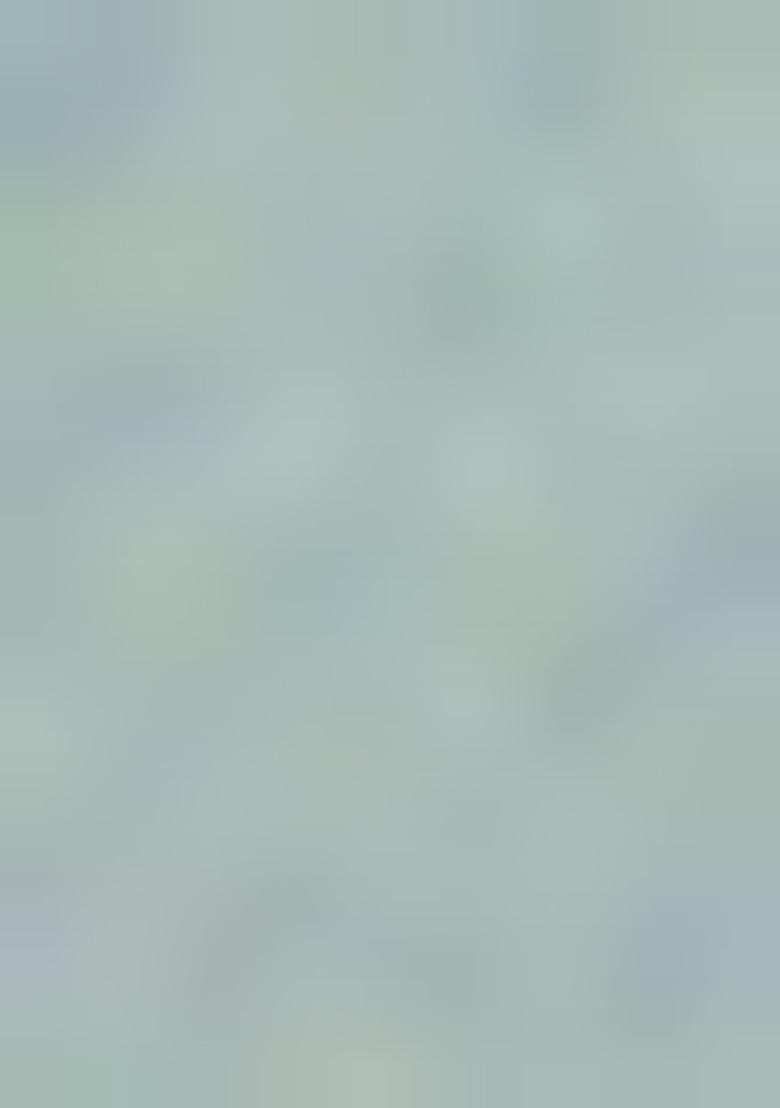 Sea Green Embroidered Pure Tissue Silk Saree Set