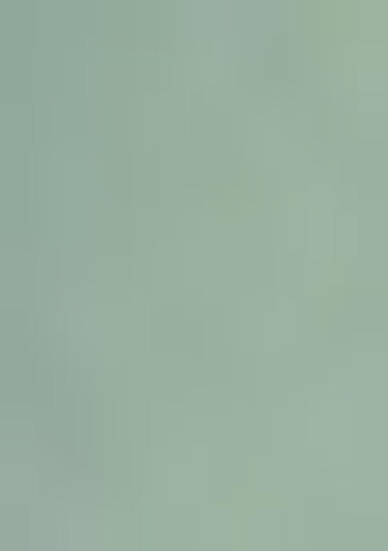 Green Embroidered Pure Tissue Silk Saree Set