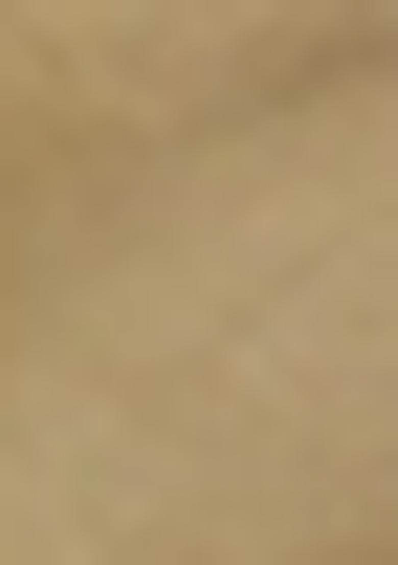 Gold Embroidered Pure Tissue Silk Saree Set