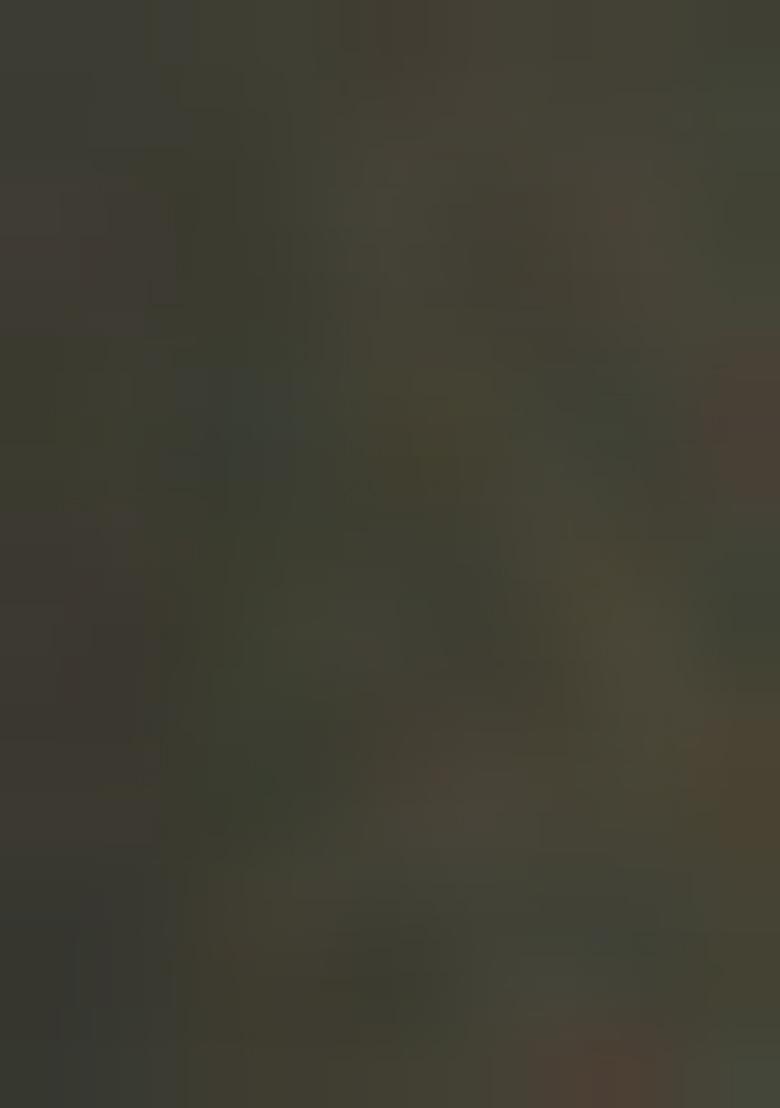 Green Embroidered Pure Tissue Silk Saree Set