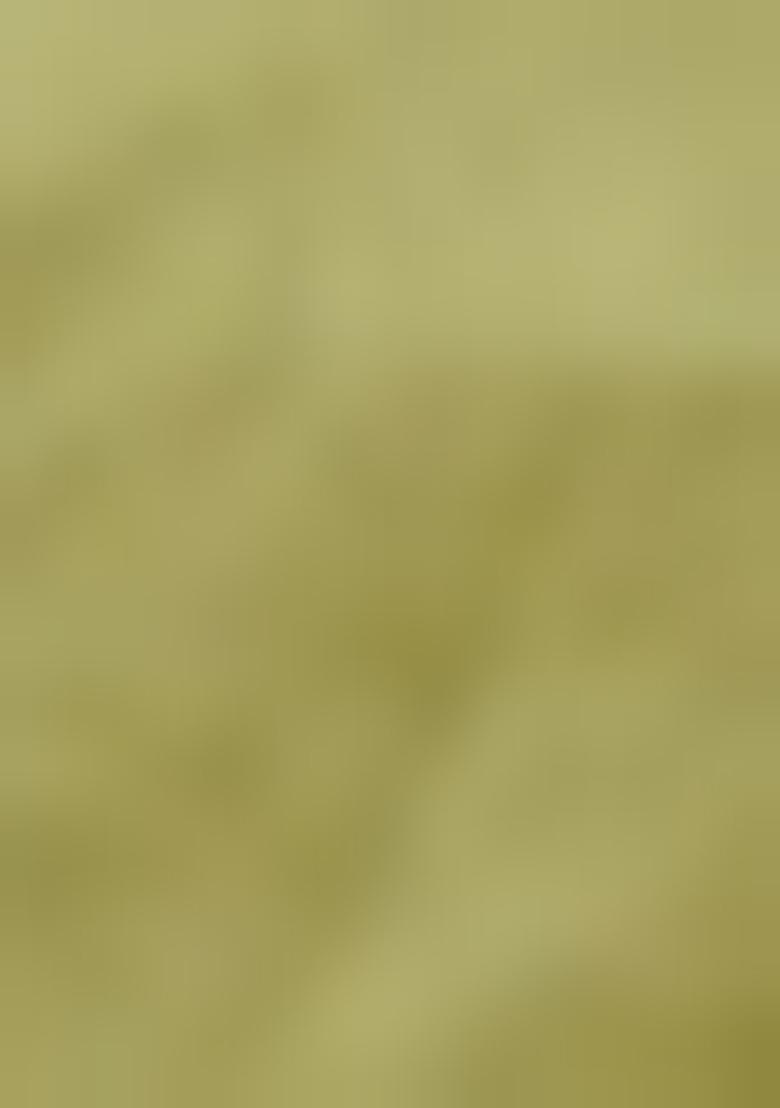 Green Embroidered Pure Tissue Silk Saree Set