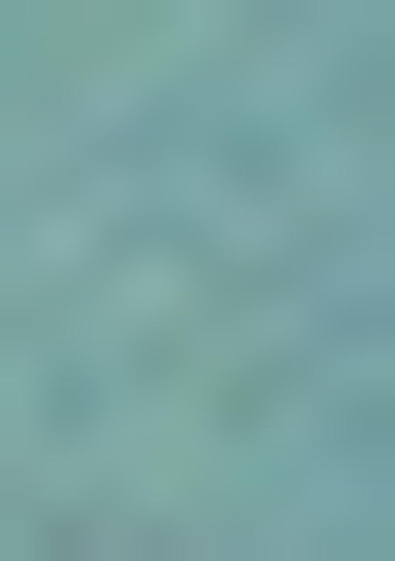 Turquoise Blue Embroidered Pure Tissue Silk Saree Set