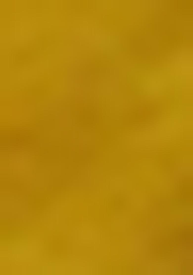 Mustard Yellow Embroidered Pure Tissue Silk Saree Set