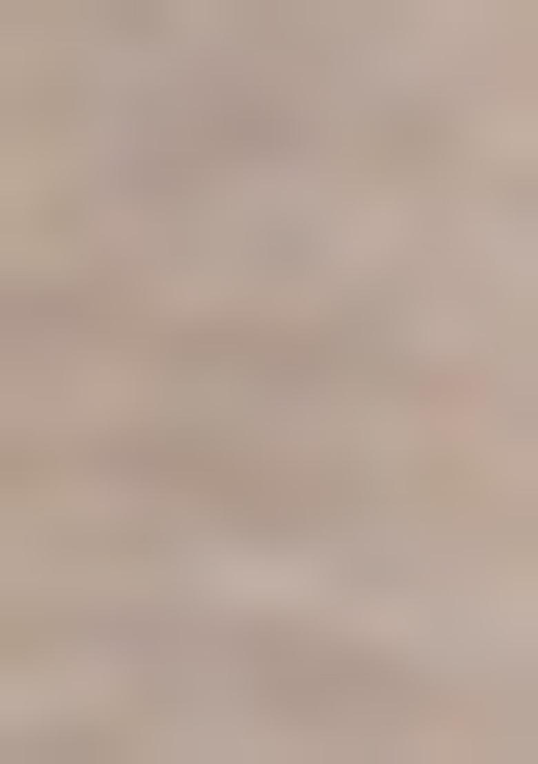 Beige Embroidered Pure Tissue Silk Saree Set