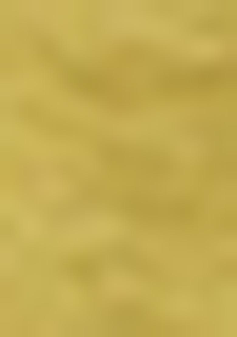 Yellow Embroidered Pure Tissue Silk Saree Set