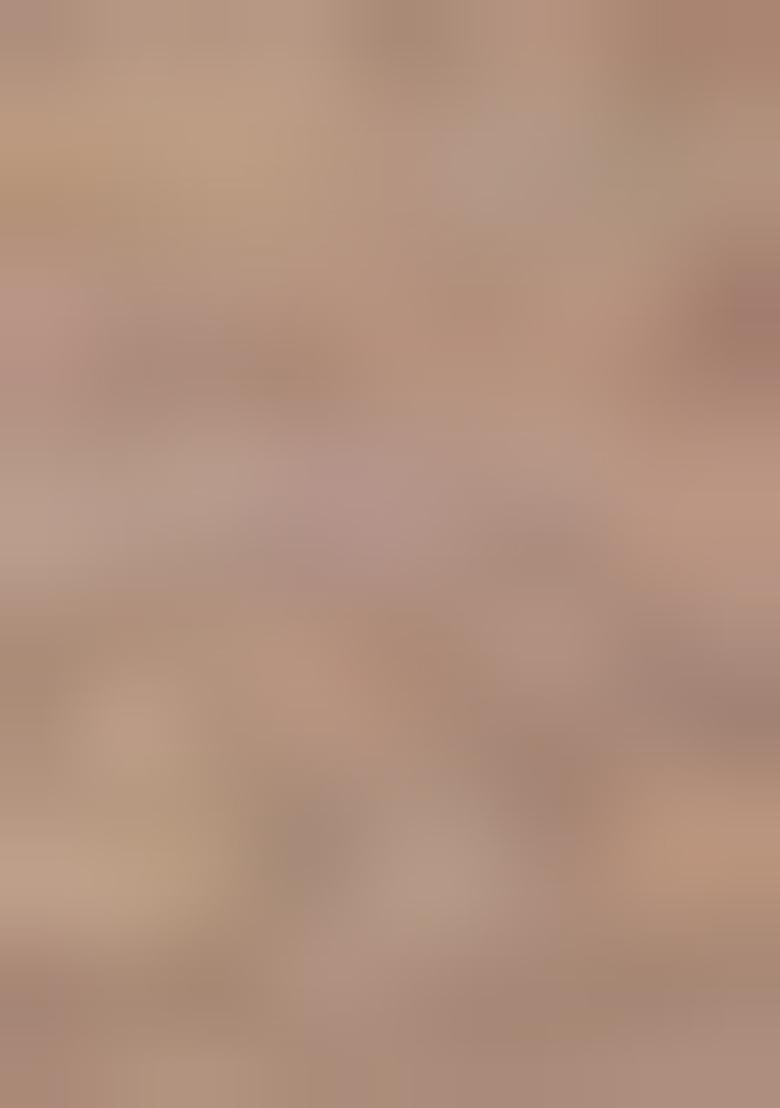 Brown Embroidered Pure Tissue Silk Saree Set