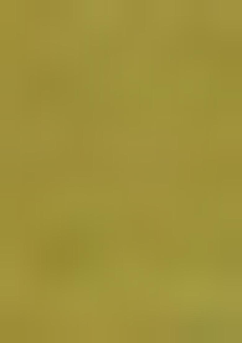 Green Embroidered Pure Tissue Silk Saree Set