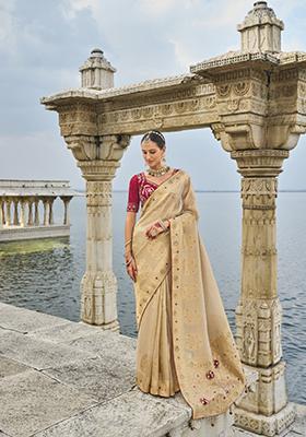 Beige Zardosi Georgette Saree Set