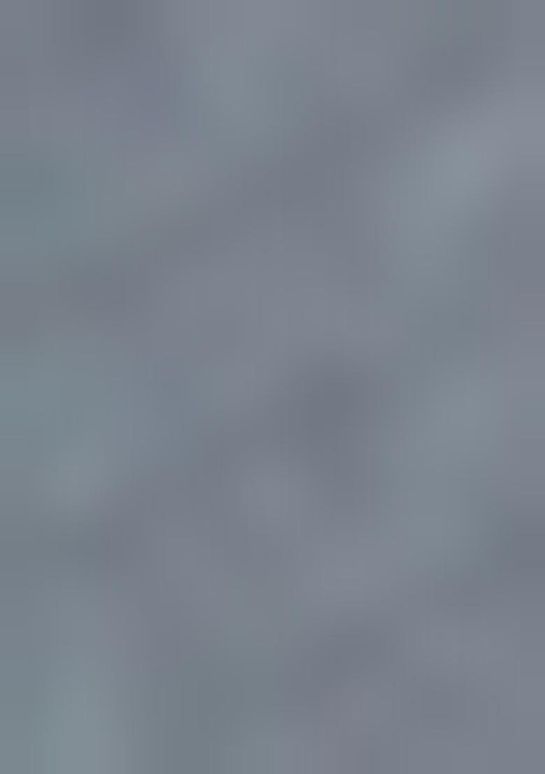 Grey Weaving Tissue Saree Set