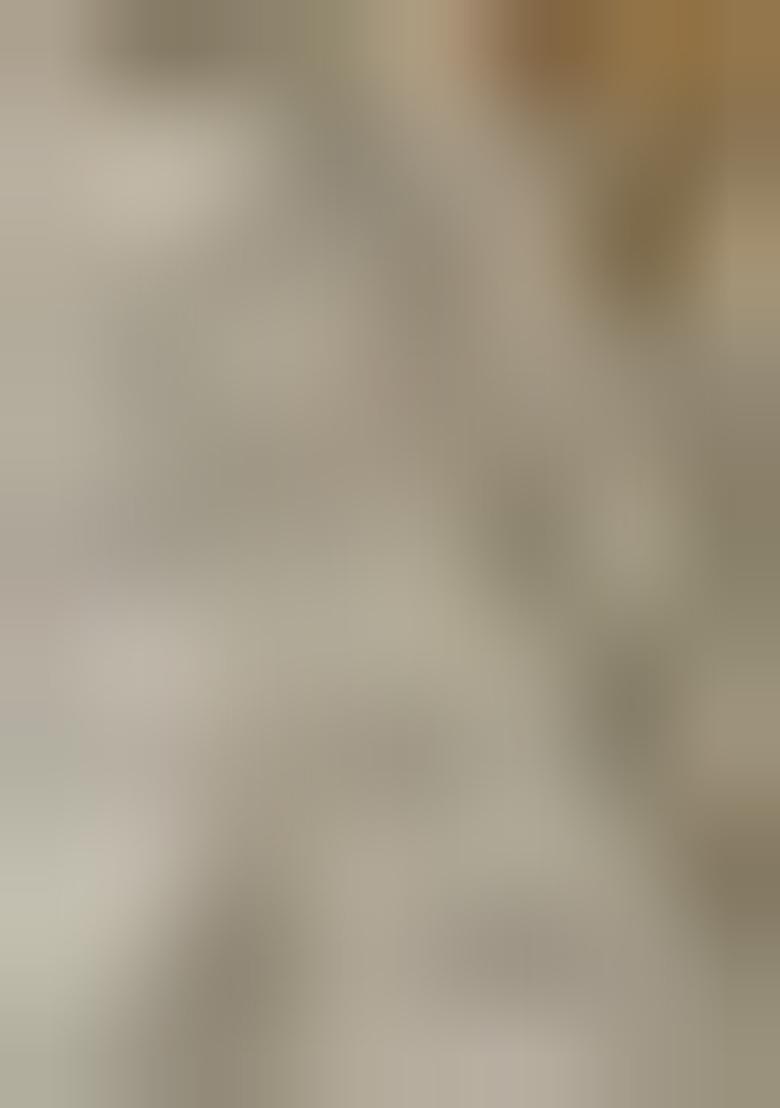 Grey Printed Tussar Silk Saree Set