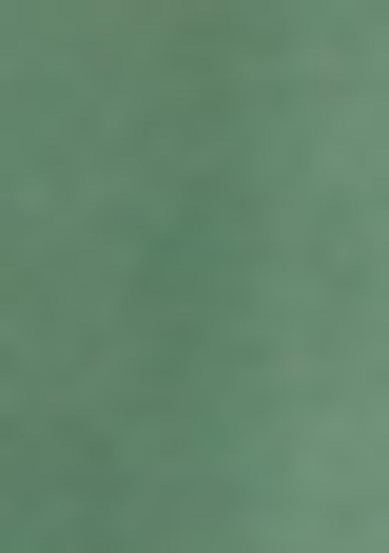 Green Printed Silk Saree Set