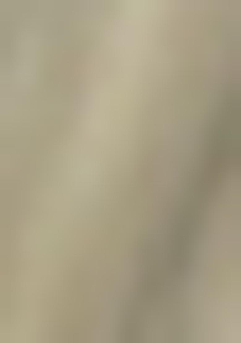 Olive Green Printed Silk Saree Set