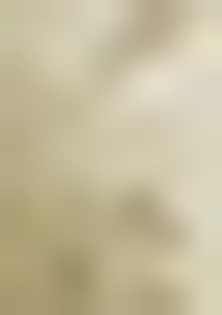 Baby Pink Digital Print Satin Saree Set