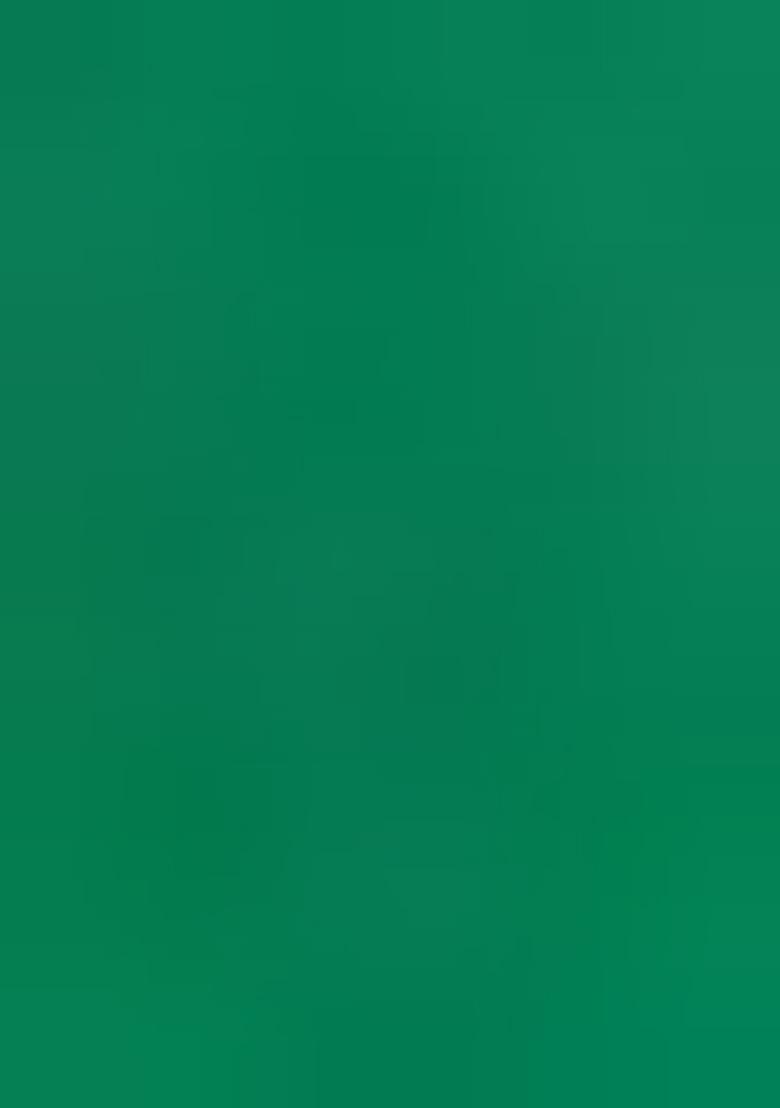 Green Zari Work Silk Saree Set