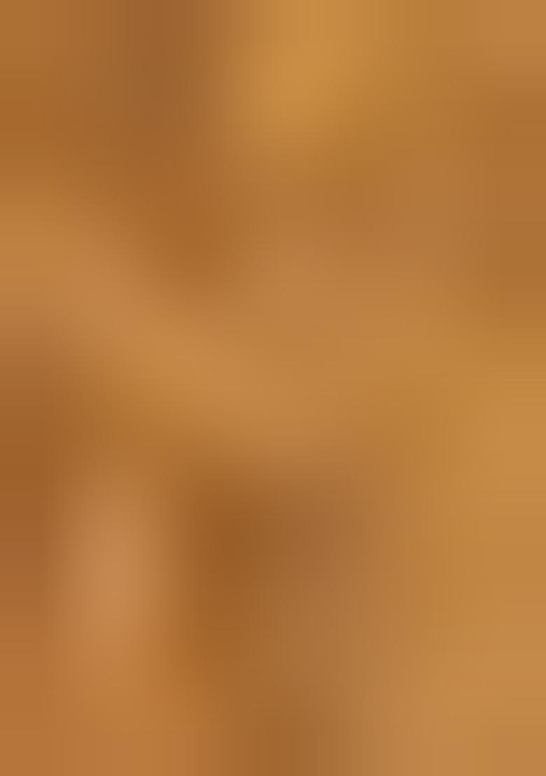 Light Peach Zarkan Work Silk Saree Set