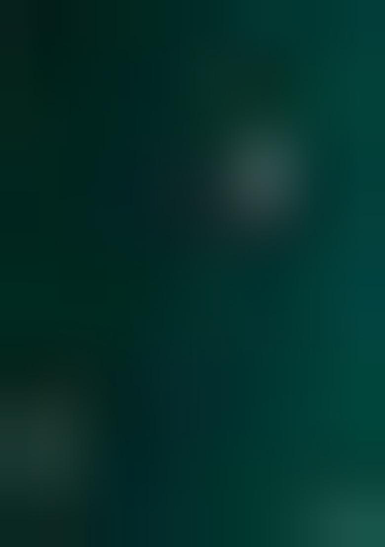 Rama Green Zardosi Silk Saree Set