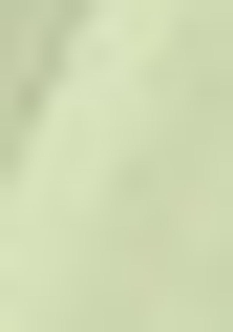 Pista Green Embroidered Georgette Saree Set