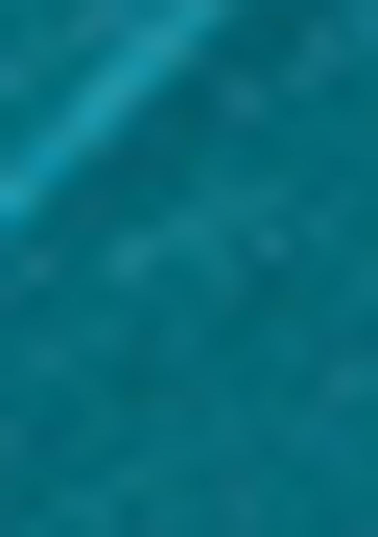 Firozi Solid Jimmy Choo Saree Set