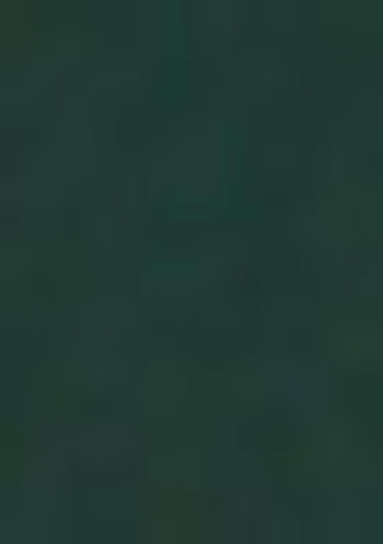 Green Printed Moss Saree Set