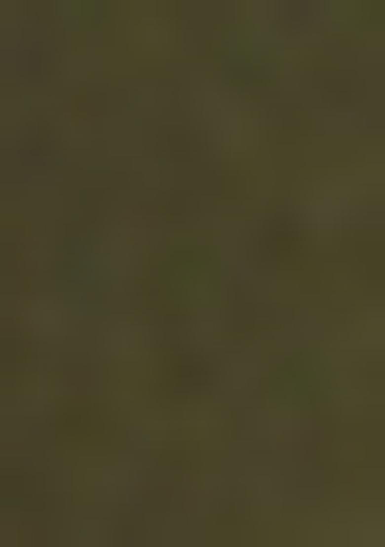 Mehendi Green Printed Moss Saree Set