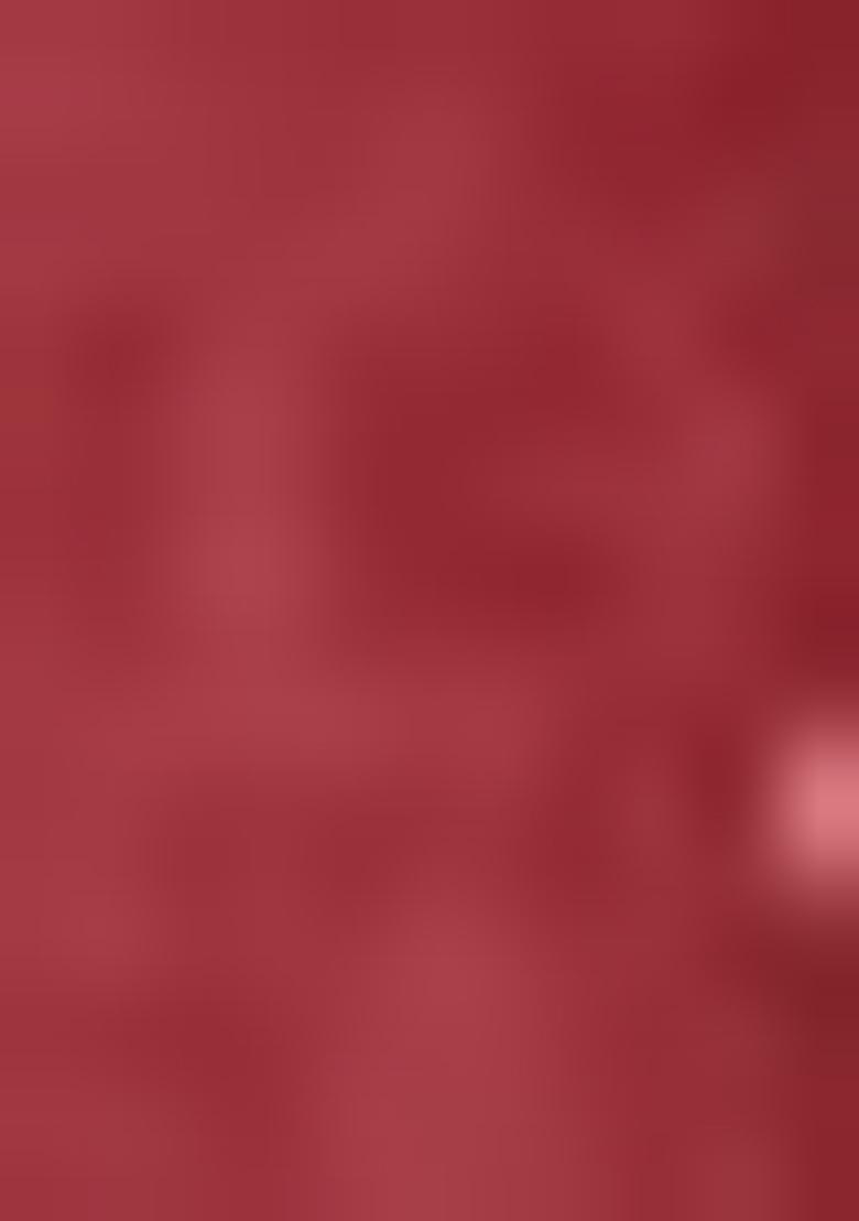 Light Brown Printed Linen Saree Set