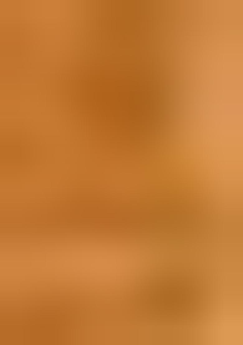 Orange Printed Linen Saree Set