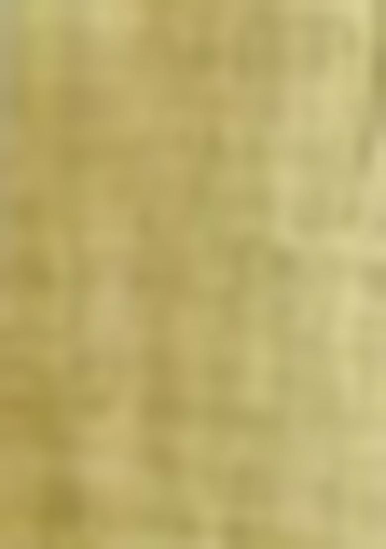 Light Yellow Printed Linen Saree Set