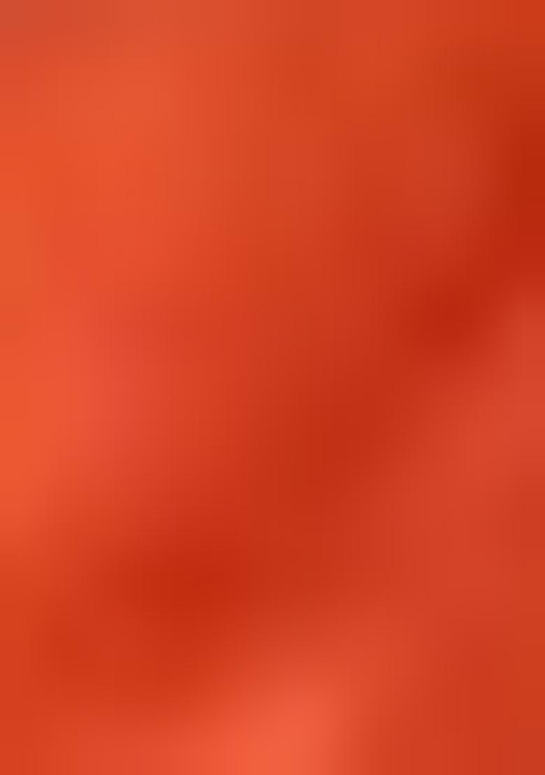 Pista Green Machine Embroidered Cotton Silk Saree Set