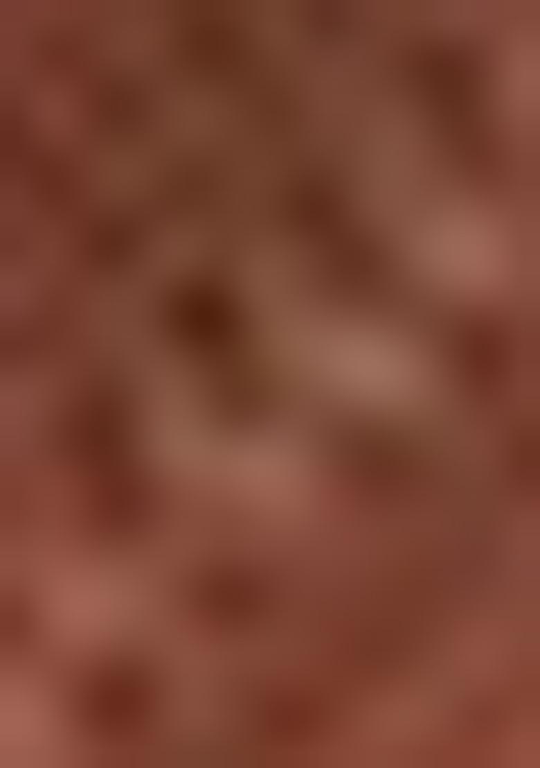 Brown Machine Embroidered Lichi Silk Saree Set