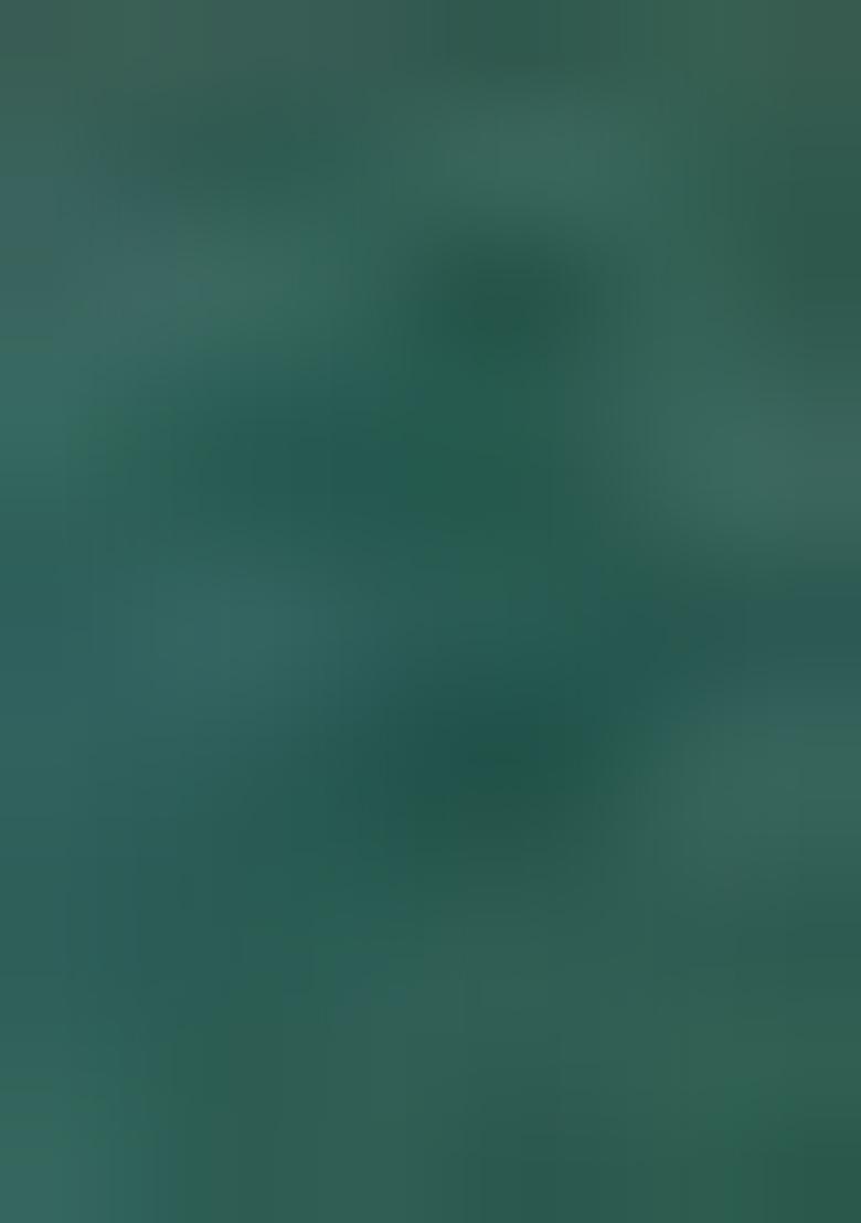 Brown Machine Embroidered Nylon Saree Set